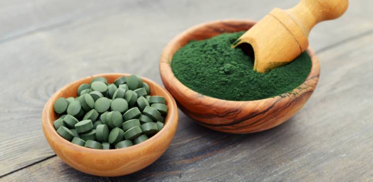 spirulina chlorella for dogs cats health